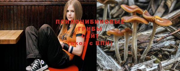 кокаин колумбия Богородицк