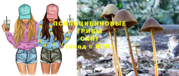 меф Белокуриха