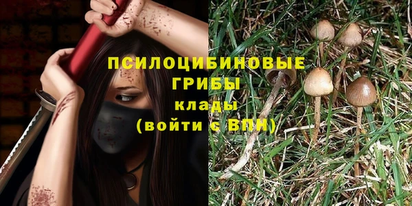 альфа пвп Беломорск